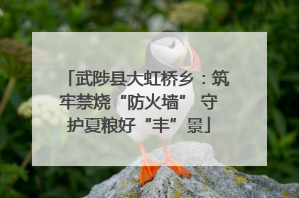 武陟县大虹桥乡：筑牢禁烧“防火墙” 守护夏粮好“丰”景