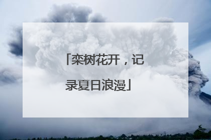 栾树花开，记录夏日浪漫
