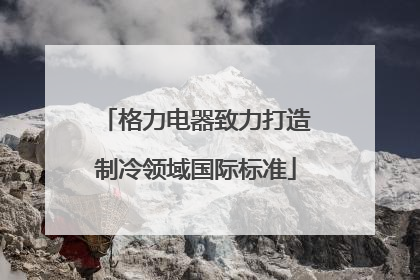 格力电器致力打造制冷领域国际标准