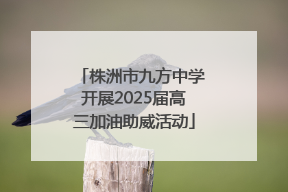 株洲市九方中学开展2025届高三加油助威活动