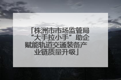 株洲市市场监管局“大手拉小手”助企赋能轨道交通装备产业链质量升级