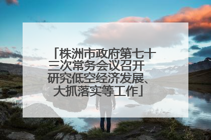 株洲市政府第七十三次常务会议召开 研究低空经济发展、大抓落实等工作