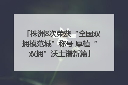 株洲8次荣获“全国双拥模范城”称号 厚植“双拥”沃土谱新篇