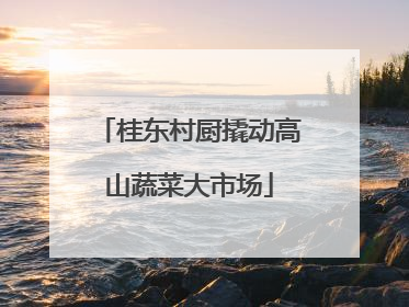 桂东村厨撬动高山蔬菜大市场