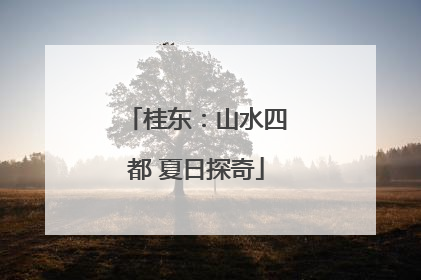 桂东：山水四都 夏日探奇
