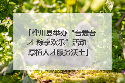 桦川县举办“吾爱吾才 粽享欢乐”活动 厚植人才服务沃土