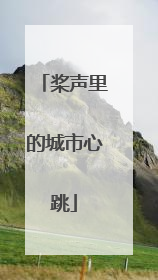 桨声里的城市心跳