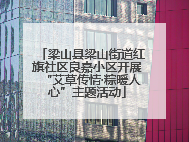 梁山县梁山街道红旗社区良嘉小区开展“艾草传情·粽暖人心”主题活动