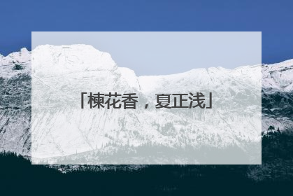 楝花香，夏正浅
