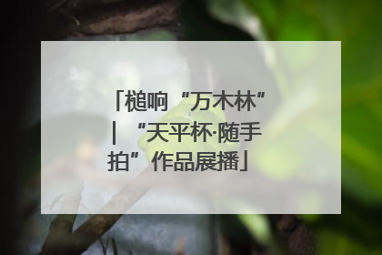 槌响“万木林”｜“天平杯·随手拍”作品展播