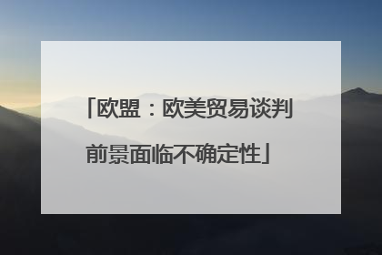 欧盟：欧美贸易谈判前景面临不确定性