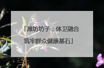 潍坊坊子：体卫融合筑牢群众健康基石