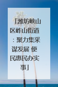 潍坊峡山区岞山街道：聚力集采谋发展 便民惠民办实事