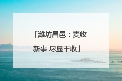潍坊昌邑：麦收新事 尽显丰收