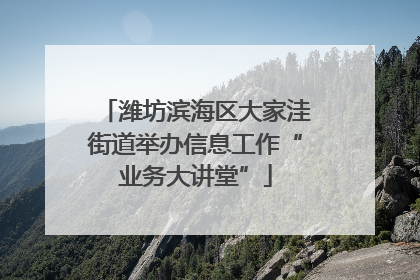 潍坊滨海区大家洼街道举办信息工作“业务大讲堂”
