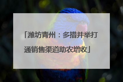 潍坊青州：多措并举打通销售渠道助农增收