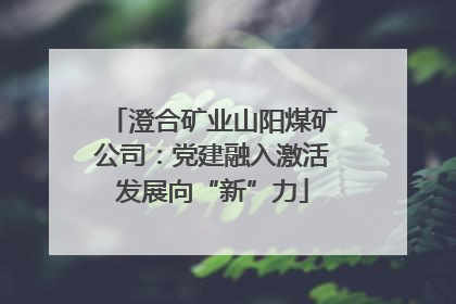 澄合矿业山阳煤矿公司：党建融入激活发展向“新”力