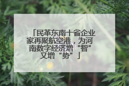 民革东南十省企业家再聚航空港，为河南数字经济增“智”又增“势”