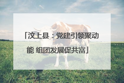 汶上县：党建引领聚动能 组团发展促共富