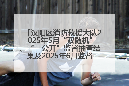 汉阳区消防救援大队2025年5月“双随机”、“一公开”监督抽查结果及2025年6月监督抽查任务公示