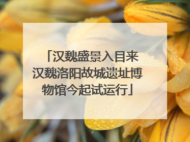 汉魏盛景入目来 汉魏洛阳故城遗址博物馆今起试运行