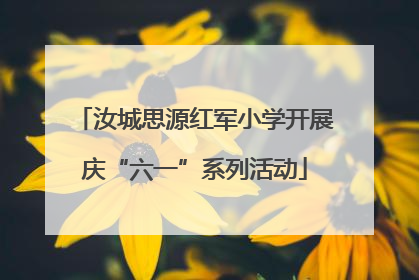 汝城思源红军小学开展庆“六一”系列活动