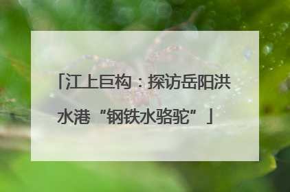 江上巨构：探访岳阳洪水港“钢铁水骆驼”