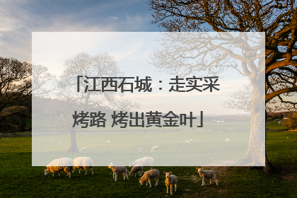 江西石城：走实采烤路 烤出黄金叶
