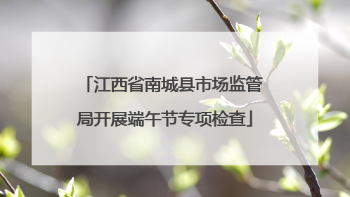 江西省南城县市场监管局开展端午节专项检查
