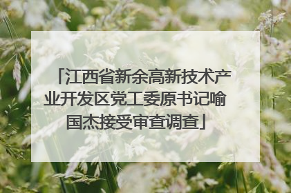江西省新余高新技术产业开发区党工委原书记喻国杰接受审查调查