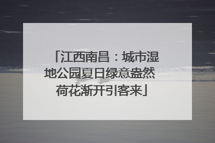 江西南昌：城市湿地公园夏日绿意盎然 荷花渐开引客来