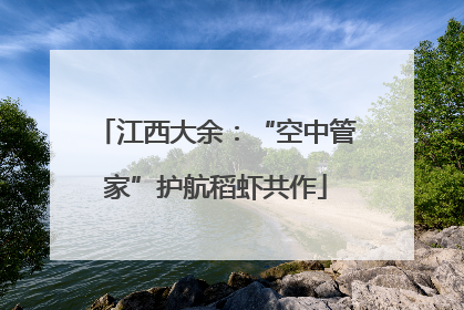 江西大余：“空中管家”护航稻虾共作