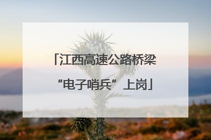 江西高速公路桥梁“电子哨兵”上岗