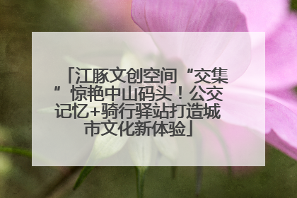 江豚文创空间“交集”惊艳中山码头！公交记忆+骑行驿站打造城市文化新体验