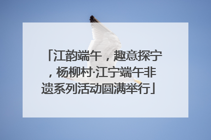 江韵端午，趣意探宁，杨柳村·江宁端午非遗系列活动圆满举行