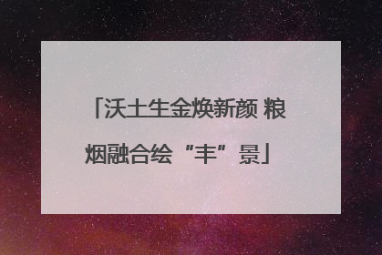 沃土生金焕新颜 粮烟融合绘“丰”景
