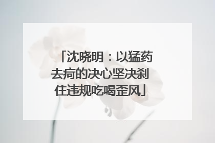沈晓明：以猛药去疴的决心坚决刹住违规吃喝歪风