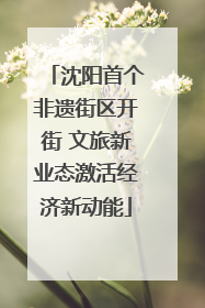 沈阳首个非遗街区开街 文旅新业态激活经济新动能
