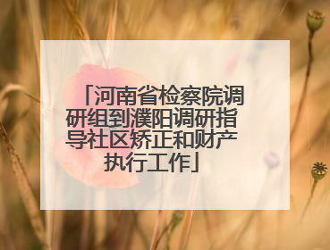 河南省检察院调研组到濮阳调研指导社区矫正和财产执行工作