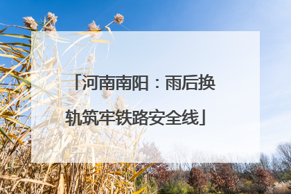 河南南阳：雨后换轨筑牢铁路安全线