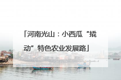 河南光山：小西瓜“撬动”特色农业发展路
