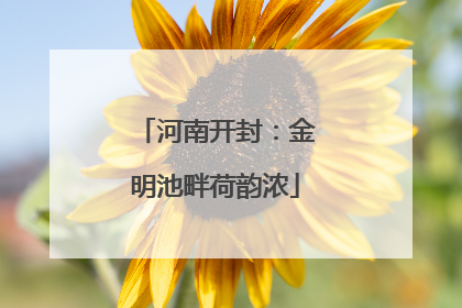 河南开封：金明池畔荷韵浓