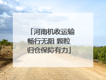 河南机收运输畅行无阻 颗粒归仓保障有力