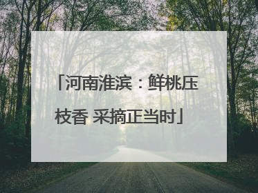 河南淮滨：鲜桃压枝香 采摘正当时