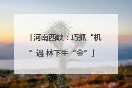 河南西峡：巧抓“机”遇 林下生“金”