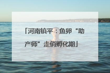 河南镇平：鱼卵“助产师”走俏孵化期