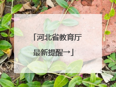 河北省教育厅最新提醒→