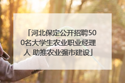 河北保定公开招聘500名大学生农业职业经理人 助推农业强市建设