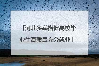 河北多举措促高校毕业生高质量充分就业