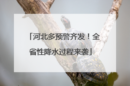 河北多预警齐发！全省性降水过程来袭